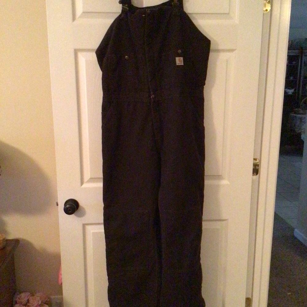 Carhartt insulated bibs